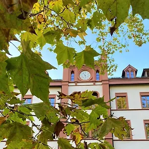 Odelya - Stadthotel Im Park Suisse